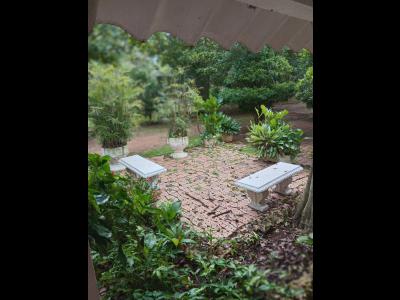 Lotes y fincas Ventas  Turbaco